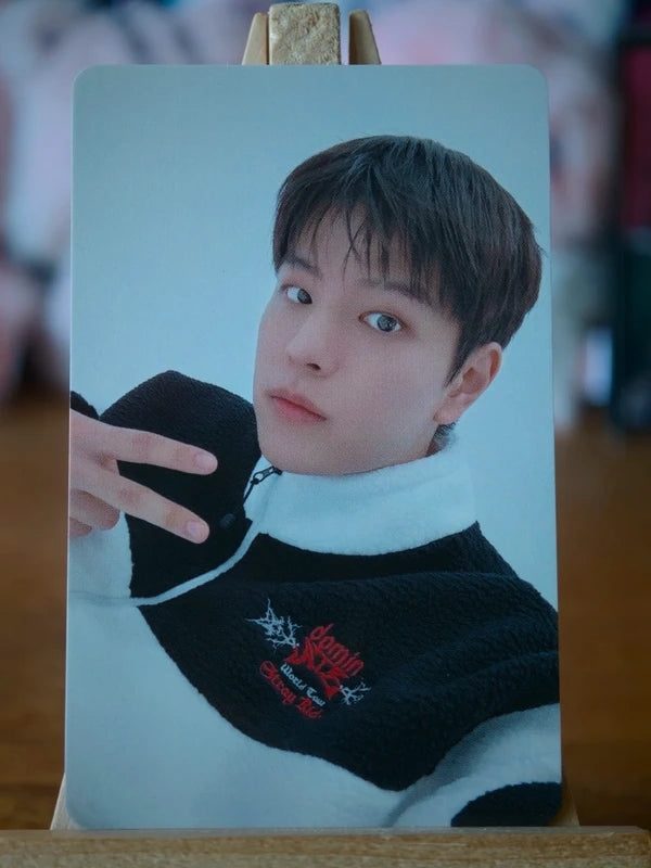 Stray Kids Seungmin GIANT Photocard (dominATE JAPAN Tokyo A, 14 November 2024) — front